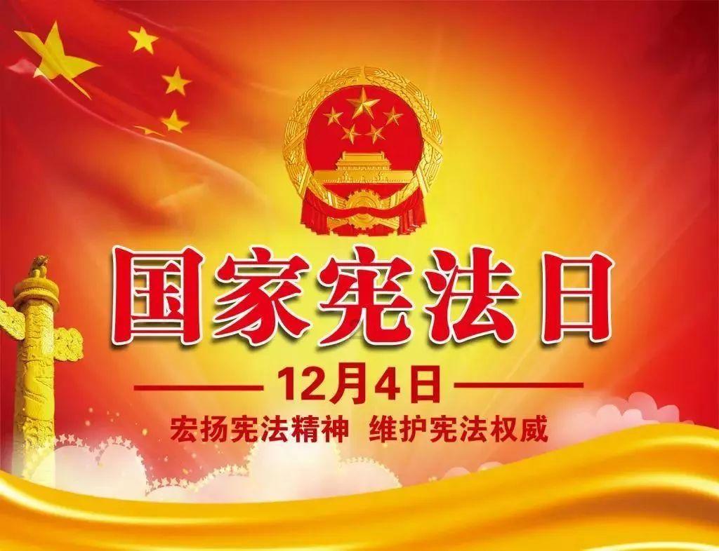 漂亮鹦鹉救援