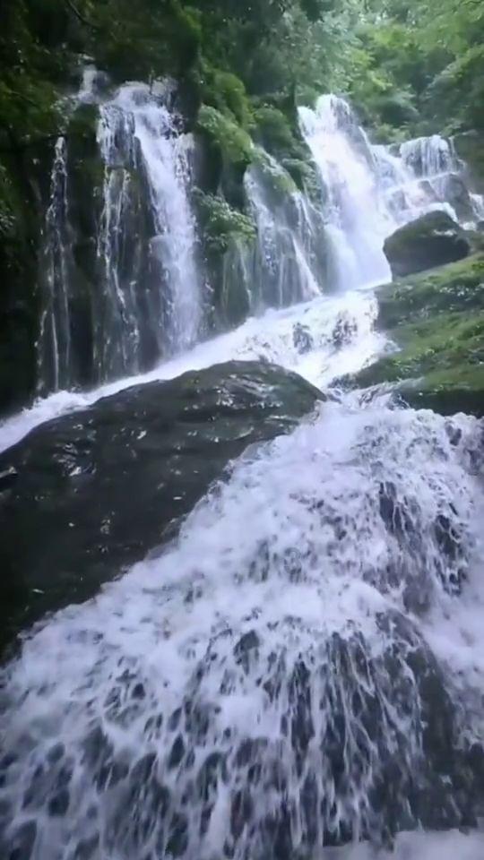 寻梦环游记找吉他